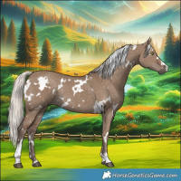 Horse Color:White Spotted Silver Grullo Rabicano