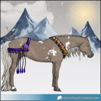 Horse Color:White Spotted Silver Grullo Rabicano 