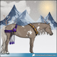 Horse Color:White Spotted Silver Grullo Rabicano 