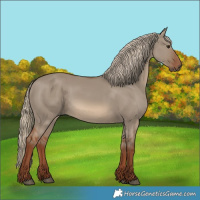 Horse Color:Red Dun 
