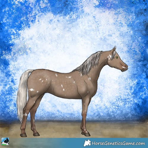 Horse Color:White Spotted Silver Grullo Rabicano 