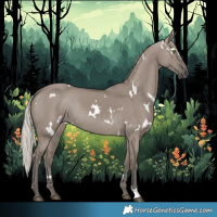 Horse Color:White Spotted Silver Grullo Rabicano 