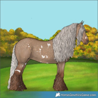 Horse Color:White Spotted Silver Grullo 