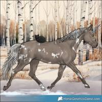 Horse Color:White Spotted Silver Grullo Rabicano 