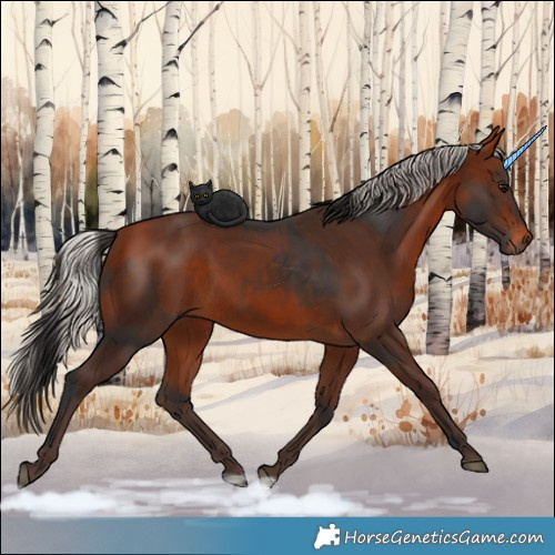 Horse Color:Bay and Silver Bay