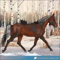 Horse Color:Bay  and Silver Bay 