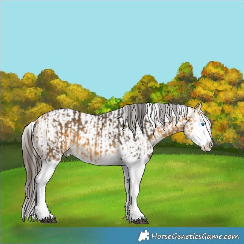 Horse Color:Buckskin Splash  and Buckskin Splash 