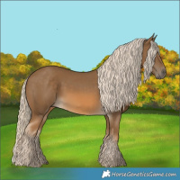 Horse Color:Chocolate Palomino 
