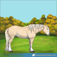 Horse Color:Palomino Dun Splash 