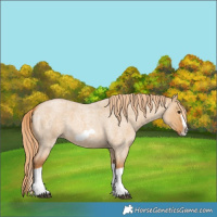 Horse Color:Red Dun Roan Splash Frame Rabicano 