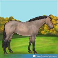Horse Color:Brown Roan Dun 