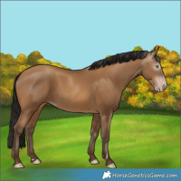 Horse Color:Gray Amber Champagne 