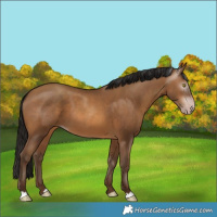 Horse Color:Gray Amber Champagne 