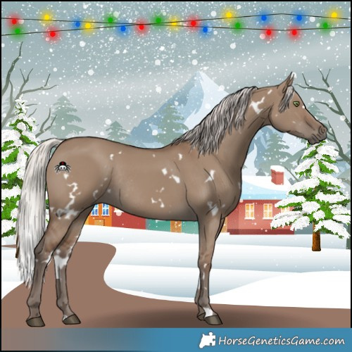 Horse Color:White Spotted Silver Grullo Rabicano 