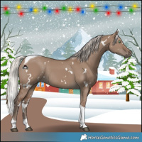 Horse Color:White Spotted Silver Grullo Tobiano Rabicano 
