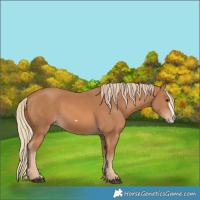 Horse Color:Chestnut Frame