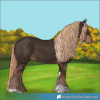 Horse Color:Liver Chestnut Tobiano