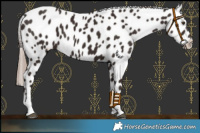 Horse Color:Liver Chestnut Tobiano Near Leopard 