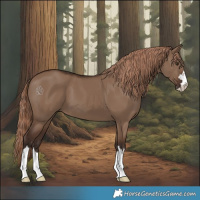 Horse Color:Liver Red Dun 
