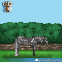 Horse Color:Platinum White Spotted Brown Snowflake Varnish