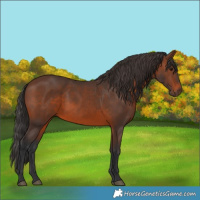Horse Color:Brown 