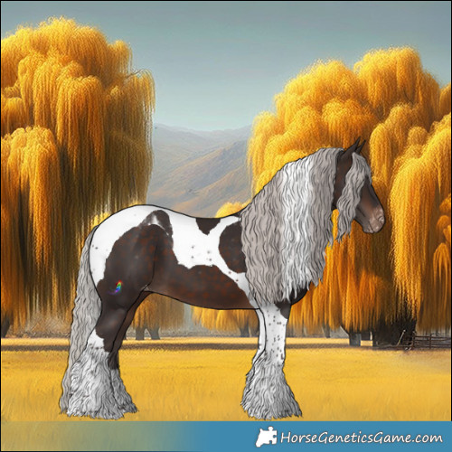Horse Color:Silver Brown Tobiano Appaloosa