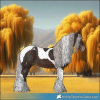 Horse Color:Silver Brown Tobiano Appaloosa 