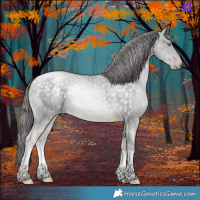 Horse Color:Platinum Buckskin Pearl Sabino 