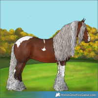 Horse Color:Silver Bay Tobiano