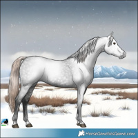 Horse Color:Gray Liver Red Roan Tobiano 