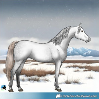 Horse Color:Gray Liver Red Roan Tobiano 