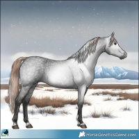 Horse Color:Gray Liver Red Roan Tobiano 