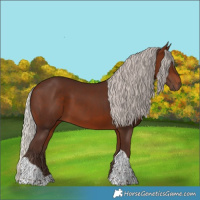 Horse Color:Silver Bay Tobiano