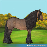 Horse Color:Brown Dun 