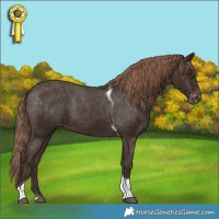 Horse Color:Liver Chestnut Tobiano Varnish 