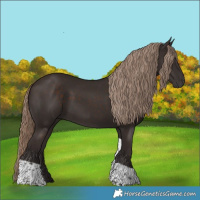 Horse Color:Liver Chestnut Tobiano 