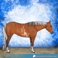 Horse Color:Bay Tobiano  and Silver Bay Tobiano 