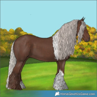 Horse Color:Silver Black Tobiano 