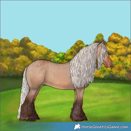Horse Color:Silver Brown Dun Appaloosa 