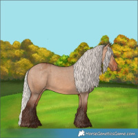 Horse Color:Silver Brown Dun Varnish 