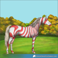 Horse Color:Smoky Creme Roan Dun 