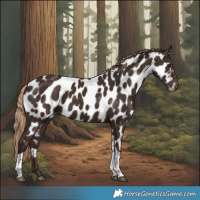 Horse Color:Liver Chestnut Tobiano Near Leopard 