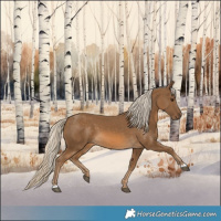 Horse Color:Chocolate Palomino 