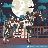 Horse Color:Silver Brown Tobiano Near Leopard