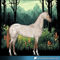 Horse Color:Gray Liver Red Dun Roan Tobiano Appaloosa 
