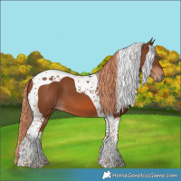 Horse Color:Chestnut Tobiano