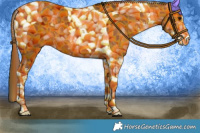 Horse Color:Bay Sabino Tobiano 