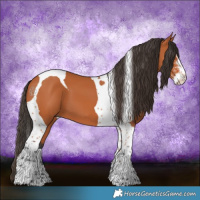 Horse Color:Bay Sabino Tobiano 