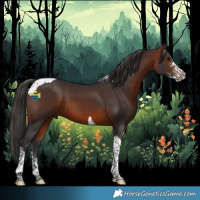 Horse Color:Bay Sabino Tobiano 