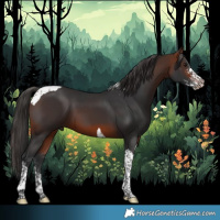 Horse Color:Bay Sabino Tobiano 